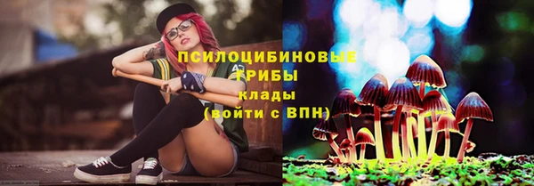 МДПВ Аркадак